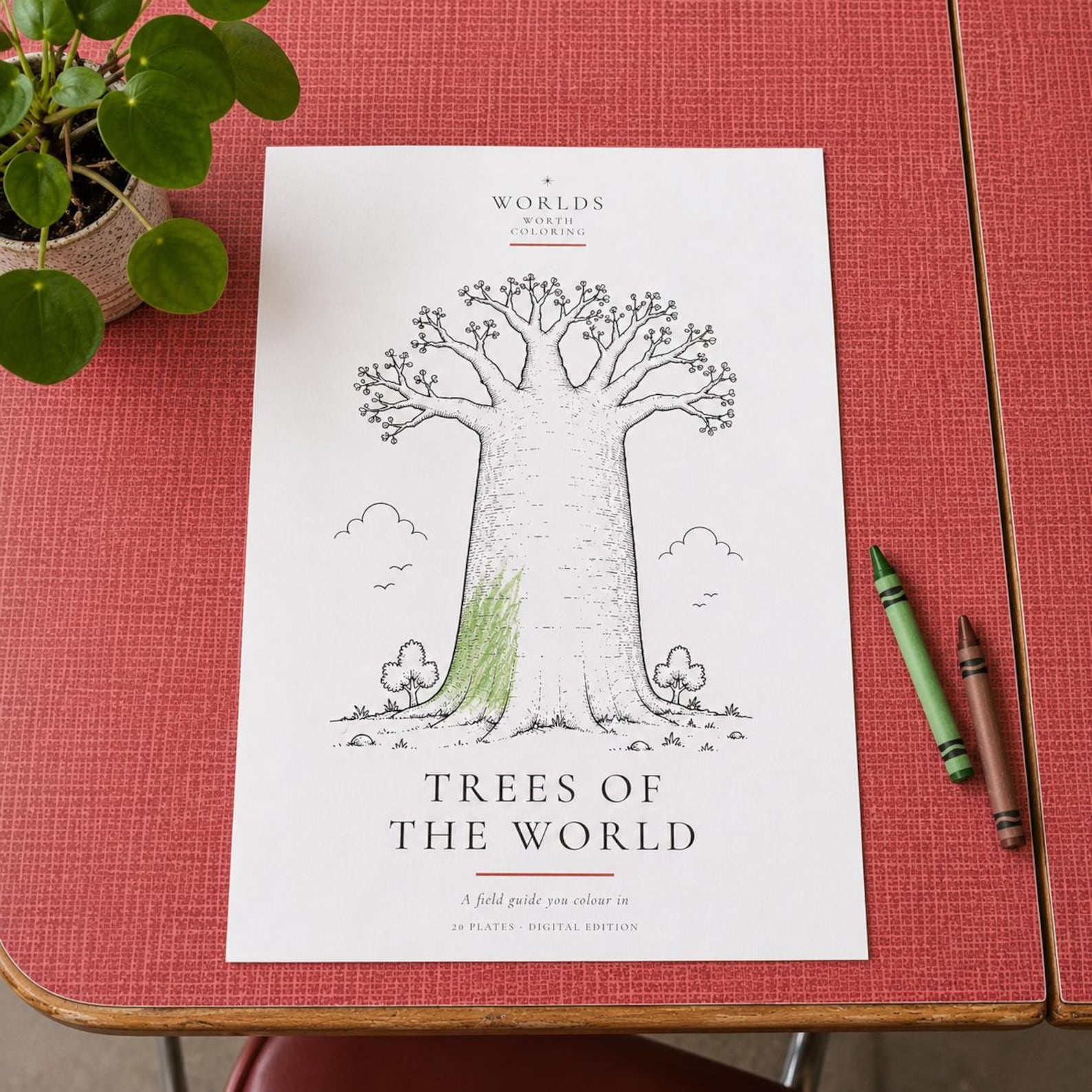 Trees of the World